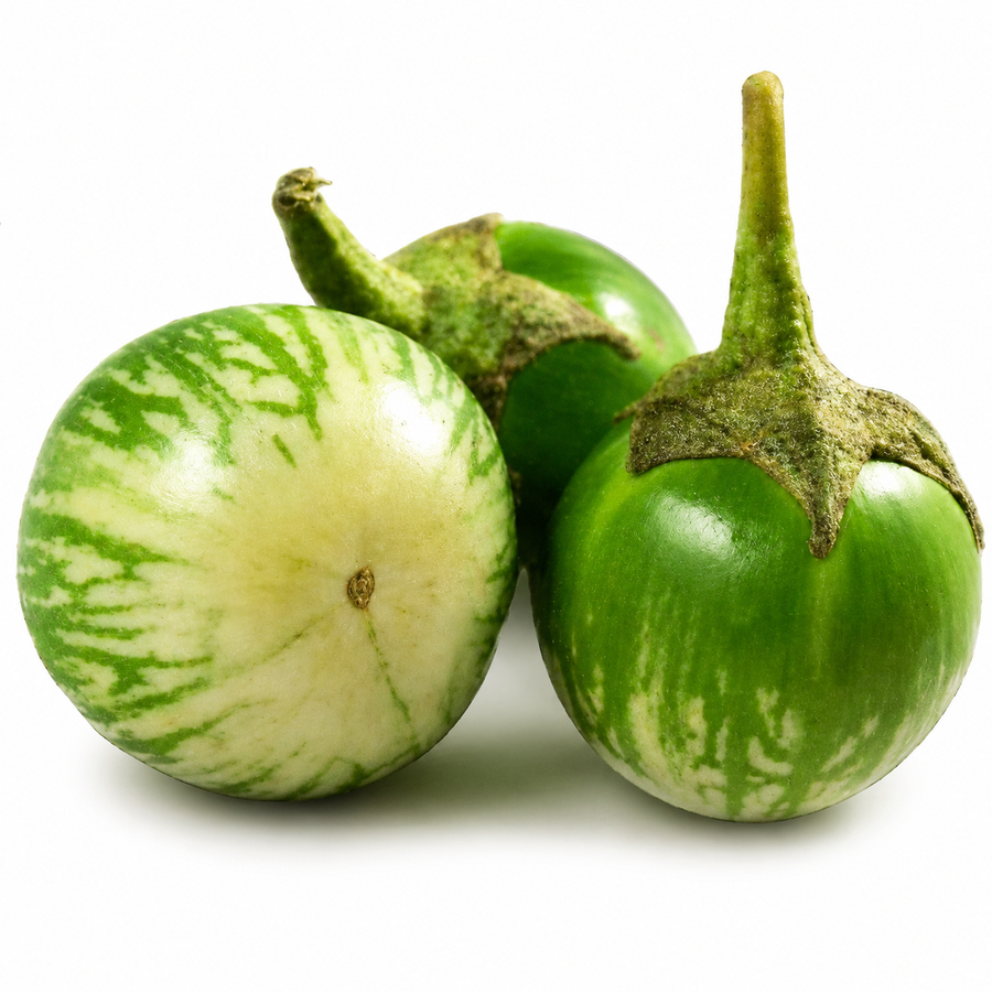 Fresh Green Brinjal