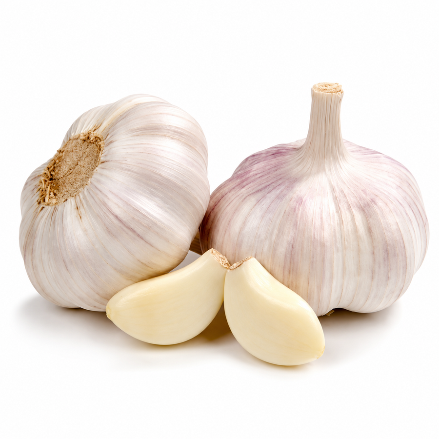 Fresh Garlic