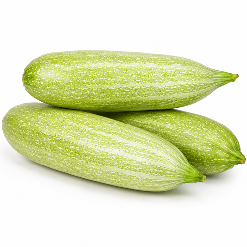 Fresh Snake Gourd