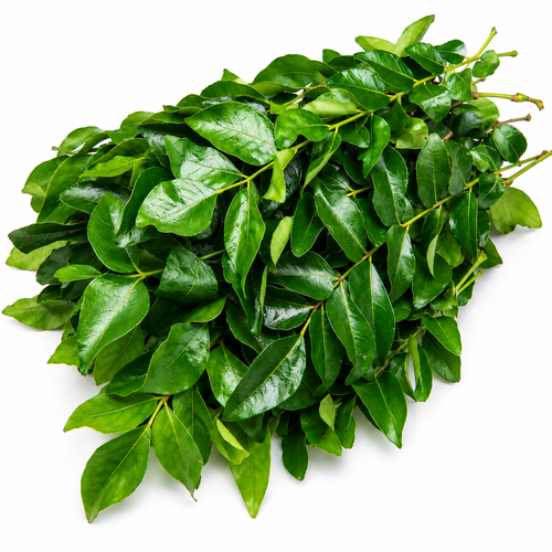 Fresh Curry Leaves 30g