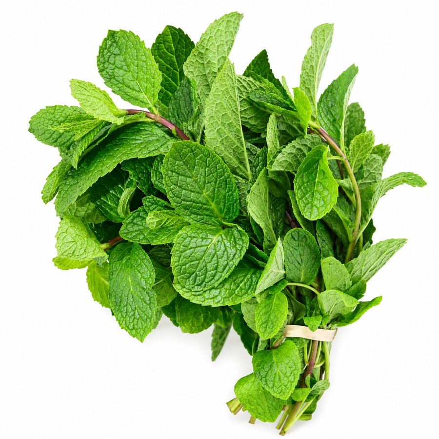 Fresh Mint