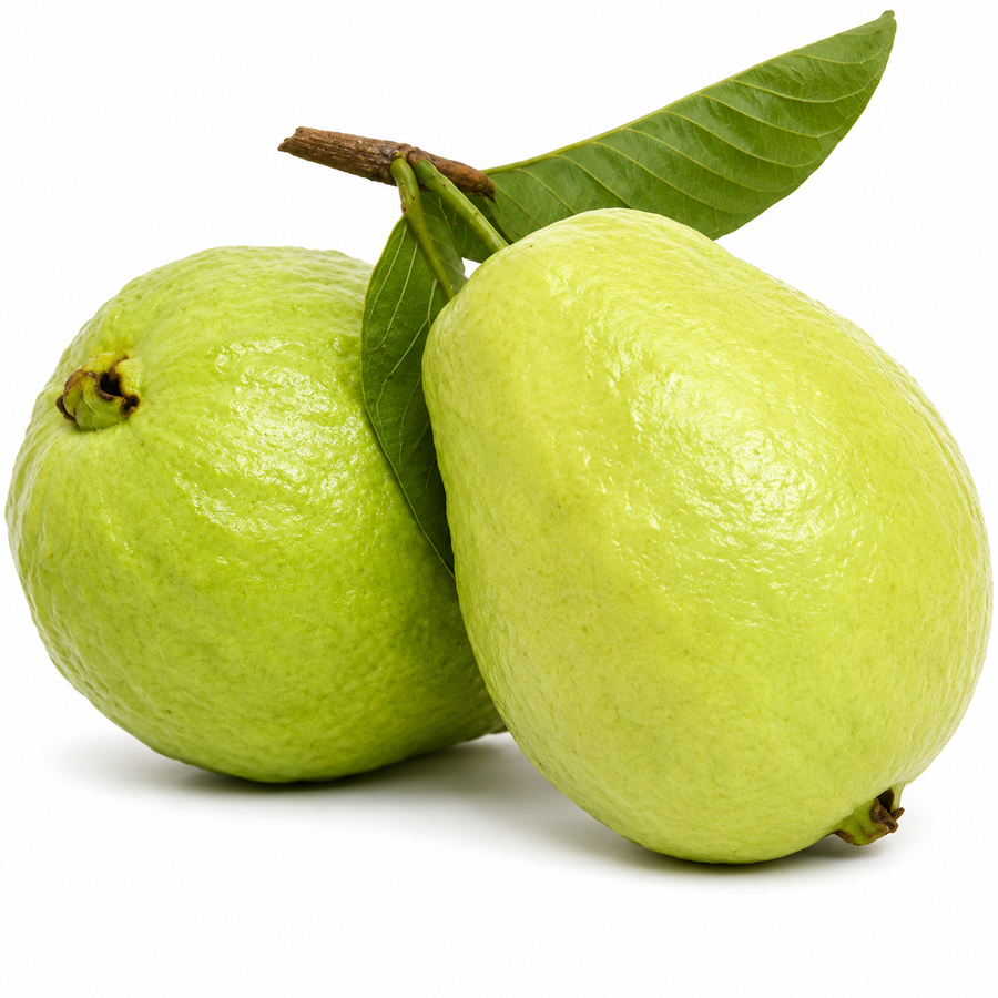 Fresh Guava Green